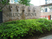 Hilltop Grove (D23), Condominium #971992